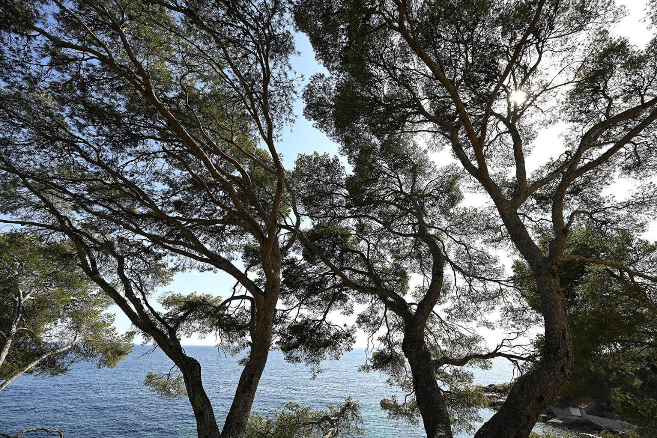 Charmant Studio 2A4 Pers Avec Jardin Et Place De Parking Situe A 5 Min A Pied De La Mer Bandol Exterior photo